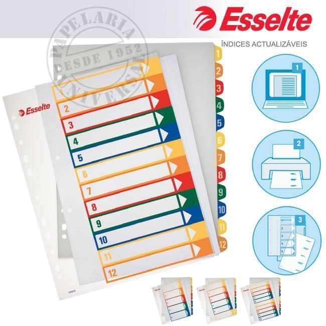 Indice Plástico Esselte 100214 A4 Maxi 1 a 12 Vertical